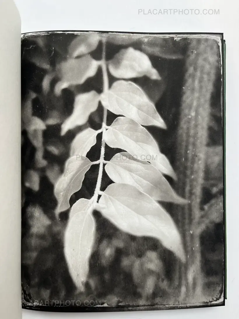 Pia Elizondo – Jardin (EDT OF 5 COPIES)
