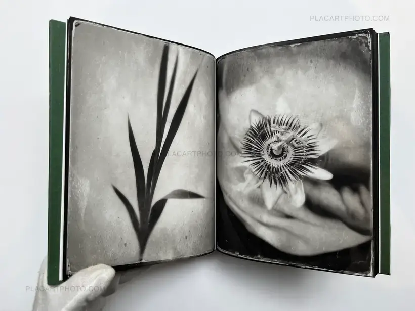 Pia Elizondo – Jardin (EDT OF 5 COPIES)