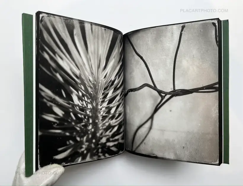 Pia Elizondo – Jardin (EDT OF 5 COPIES)