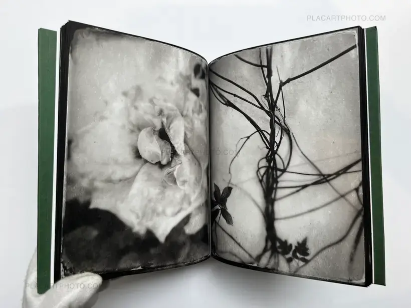Pia Elizondo – Jardin (EDT OF 5 COPIES)