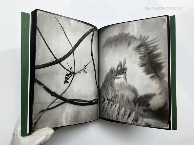 Pia Elizondo – Jardin (EDT OF 5 COPIES)