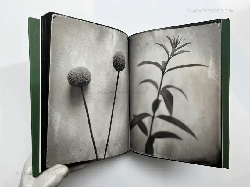 Pia Elizondo – Jardin (EDT OF 5 COPIES)