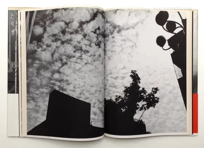 Nobuyoshi Araki – Shashin-Ron