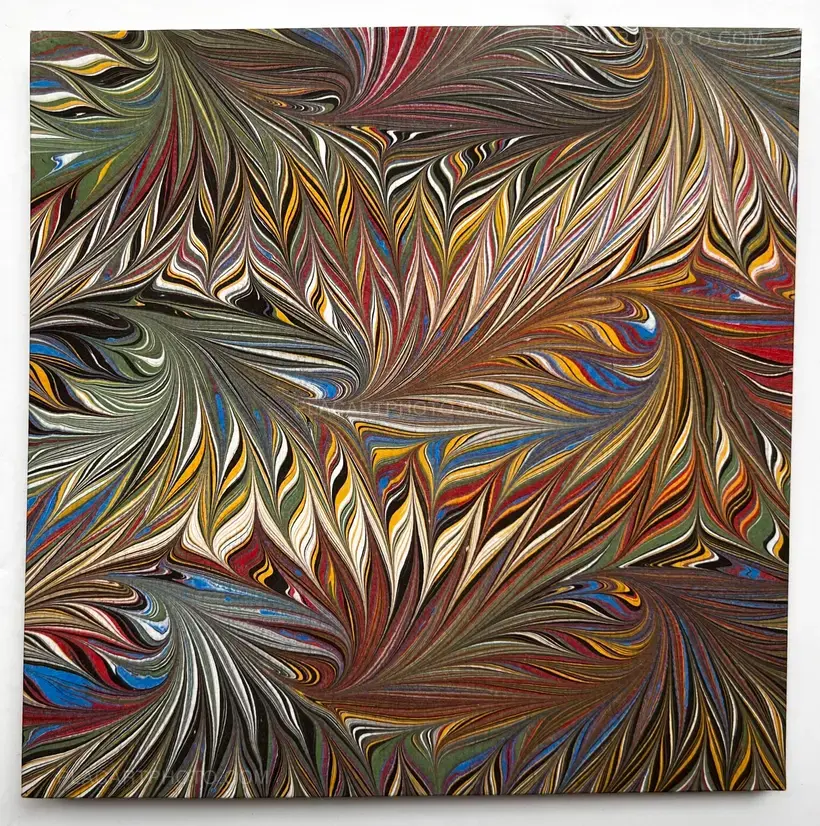 Veronica Mecchia – Wild Flower (with print !Signed and numbered)