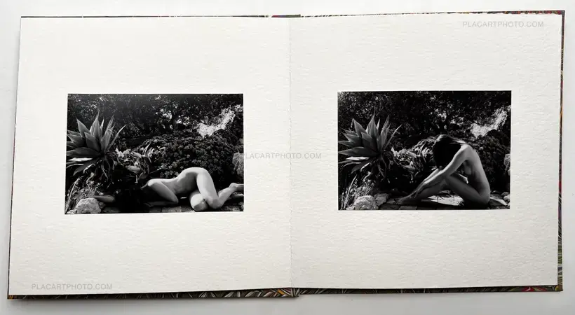 Veronica Mecchia – Wild Flower (with print !Signed and numbered)