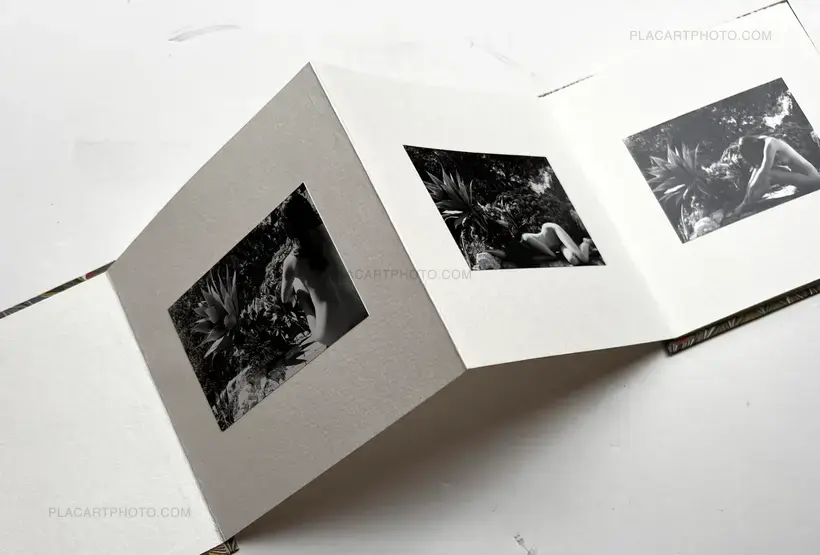 Veronica Mecchia – Wild Flower (with print !Signed and numbered)