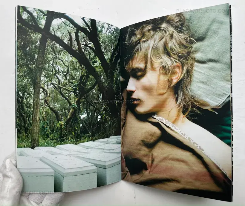 Dana Lauren Goldstein – Don't Cry Tonight (Signed and numbered, edt of 200)