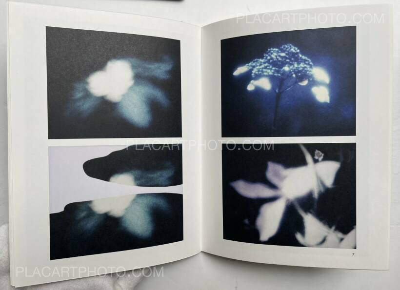 Hiroshi Yamazaki Photographic Incident Signed and numbered edt