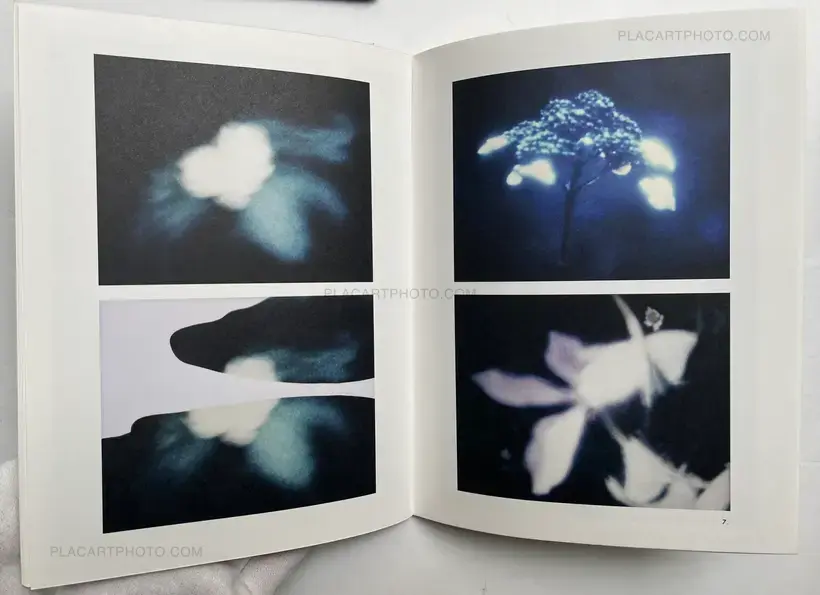 Hiroshi Yamazaki – Photographic Incident (Signed and numbered, edt of 500)