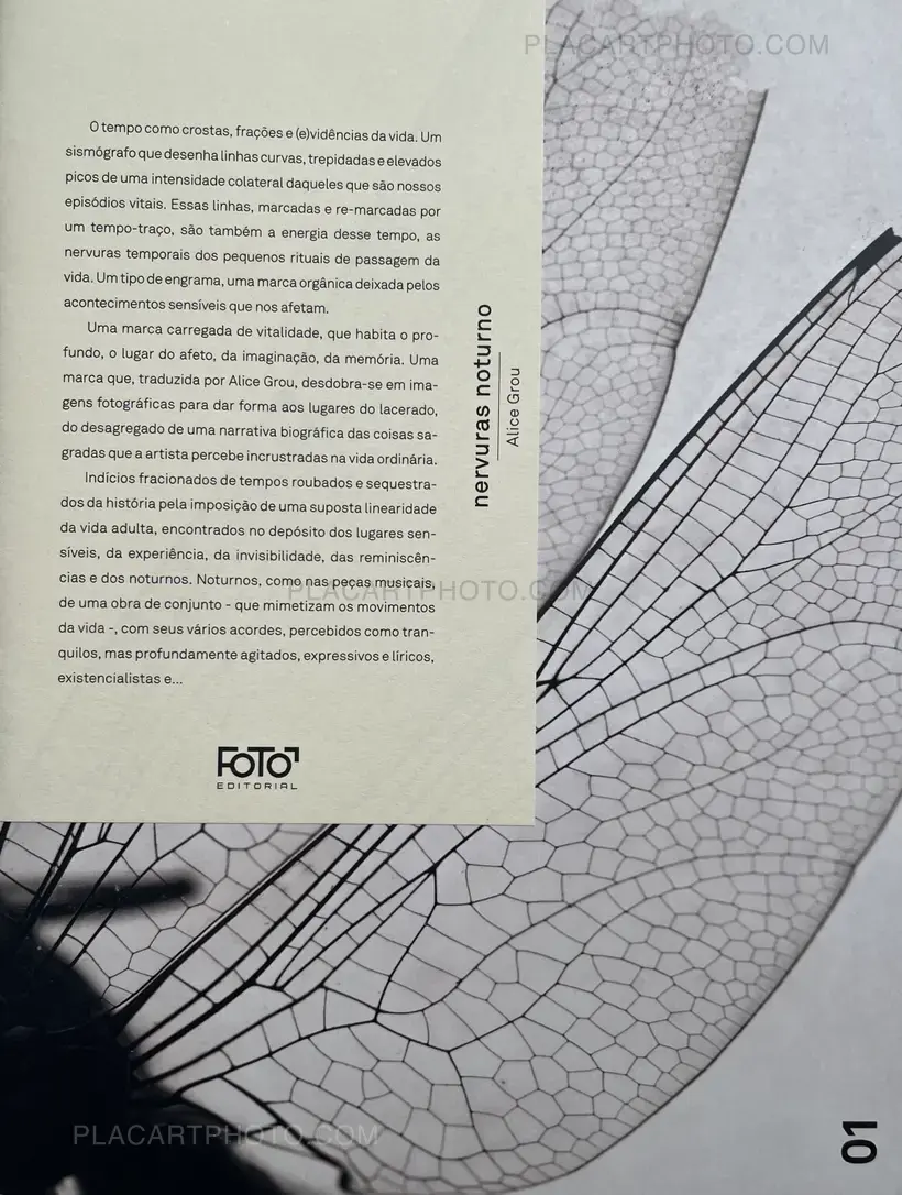 Alice Grou – Nervuras Noturno (Signed and numbered, edt of 500)