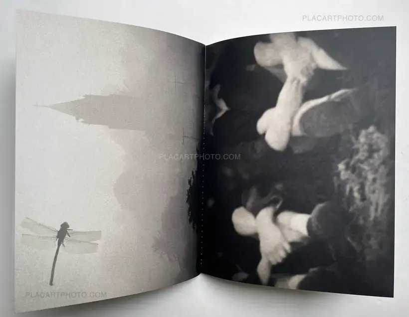 Alice Grou – Nervuras Noturno (Signed and numbered, edt of 500)