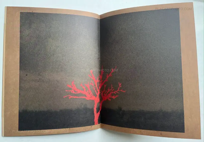 Marcelo Costa – Lugar Onde o Tempo Sofre (Place where Time Suffers) (Signed and numbered, edt of 500)