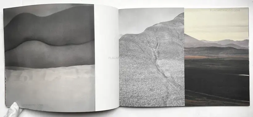 Margaret Lansink – Friction