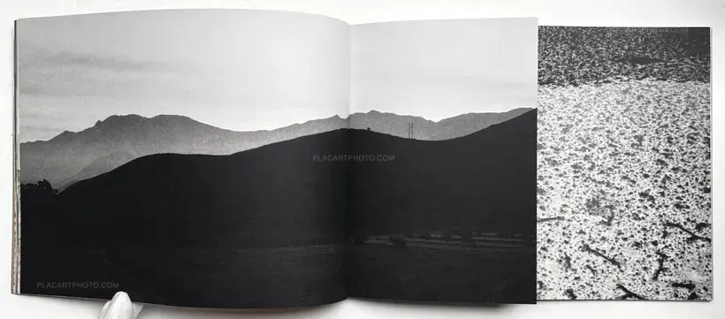 Margaret Lansink – Friction