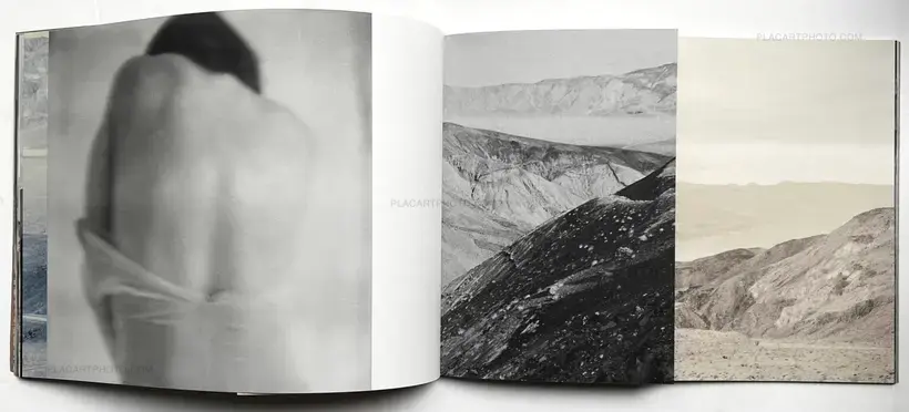 Margaret Lansink – Friction