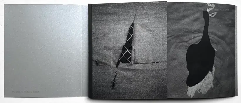 Sayuri Ichida – Absentee