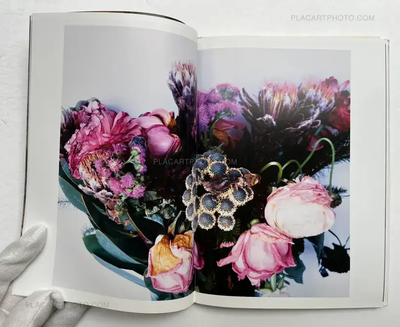 Nobuyoshi Araki – IMTOU