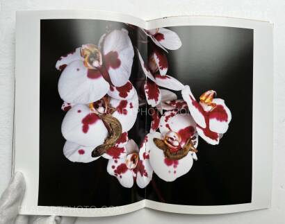 Nobuyoshi Araki,IMTOU