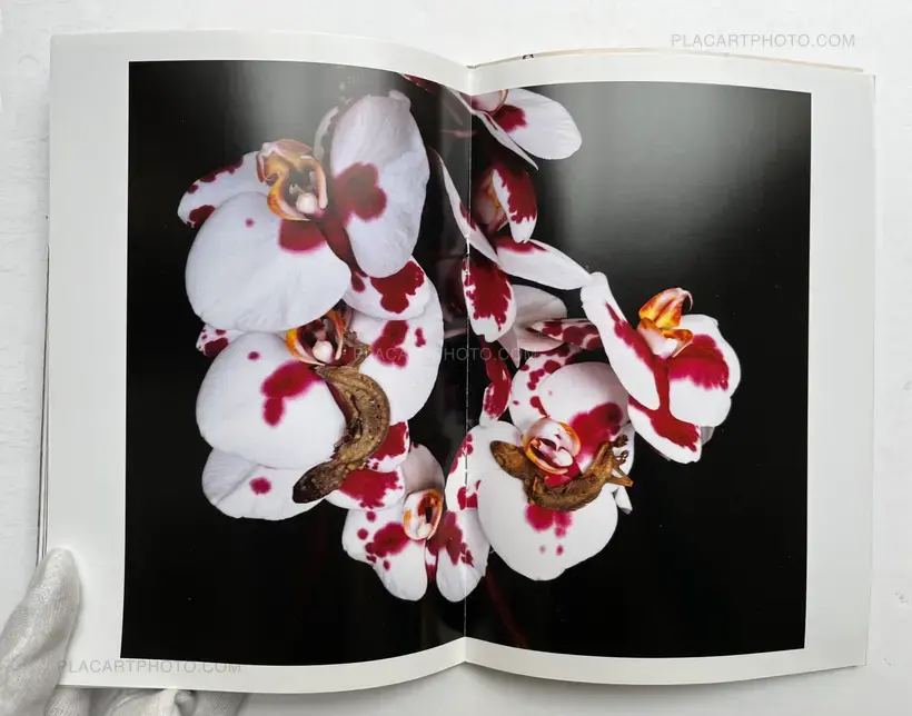 Nobuyoshi Araki – IMTOU