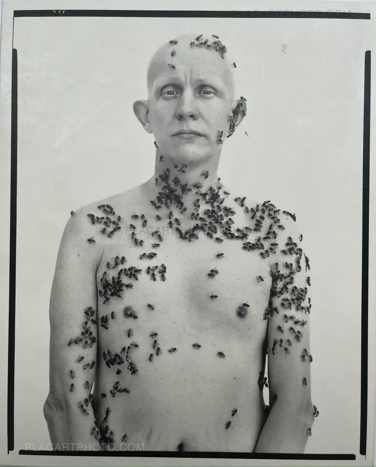 Richard Avedon, Portraits, Metropolitan Museum of Art, Abrams