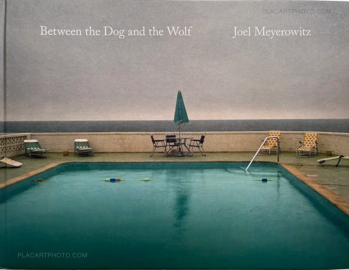 Joel Meyerowitz, Between the Dog and the Wolf, Super Labo, 2013