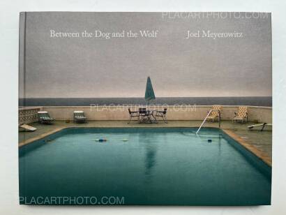 Joel Meyerowitz,Between the Dog and the Wolf