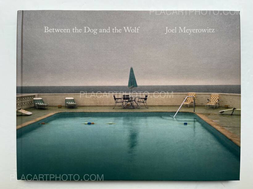Joel Meyerowitz Between the Dog and the… Between the Dog and the Wolf — Joel Meyerowitz