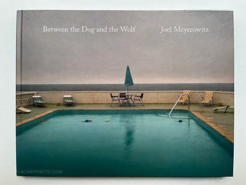 Joel Meyerowitz – Between the Dog and the Wolf