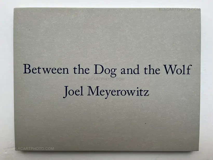Joel Meyerowitz – Between the Dog and the Wolf