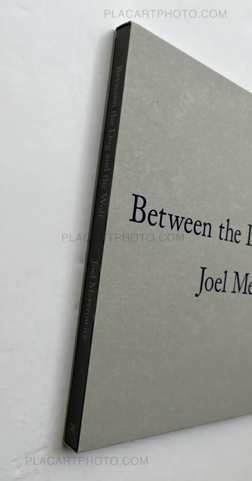 Joel Meyerowitz – Between the Dog and the Wolf