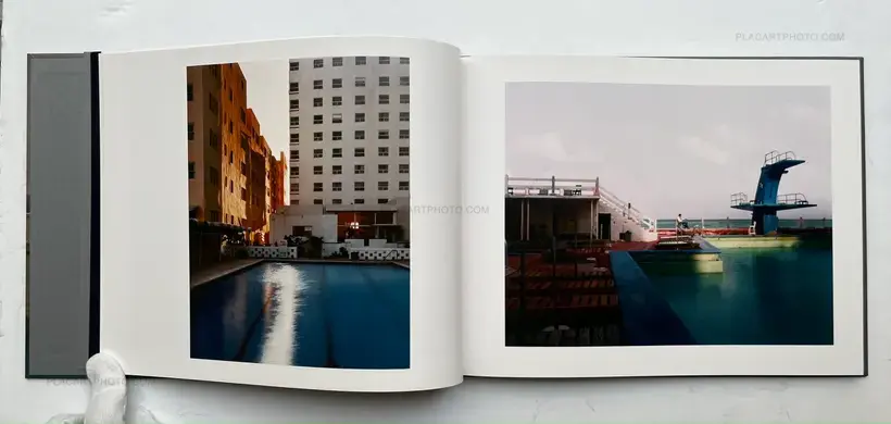 Joel Meyerowitz – Between the Dog and the Wolf
