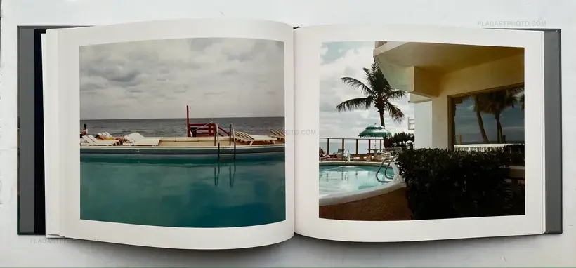 Joel Meyerowitz – Between the Dog and the Wolf