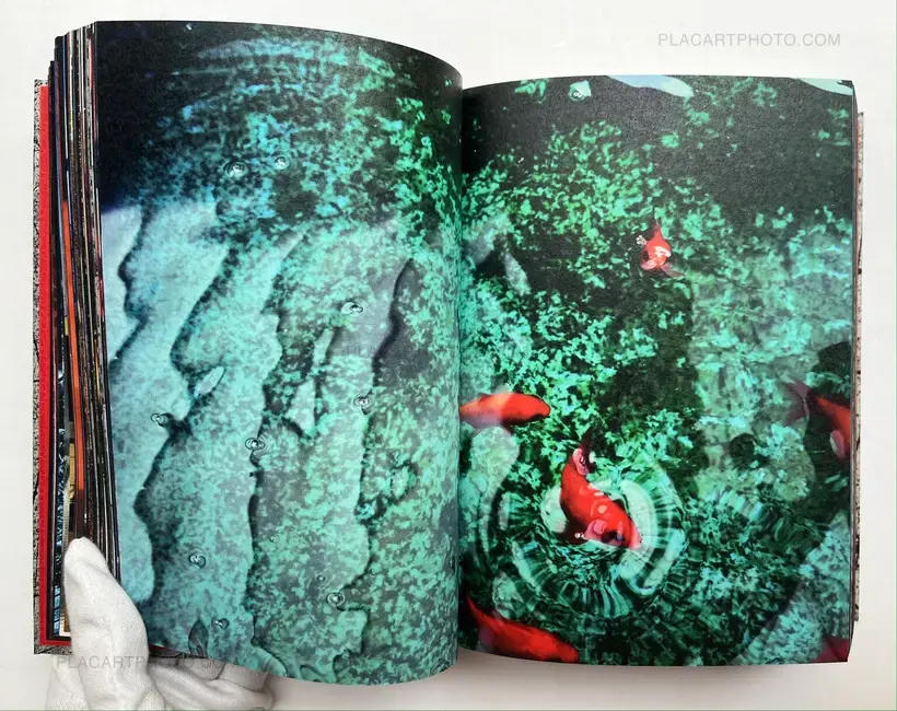 Kikuji Kawada – Vortex (SIGNED)