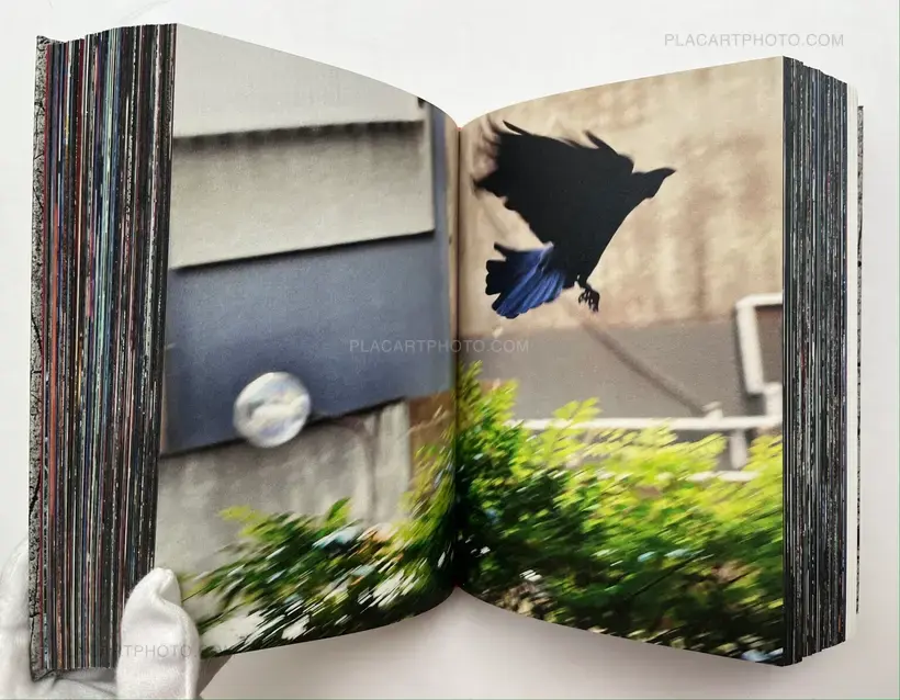 Kikuji Kawada – Vortex (SIGNED)
