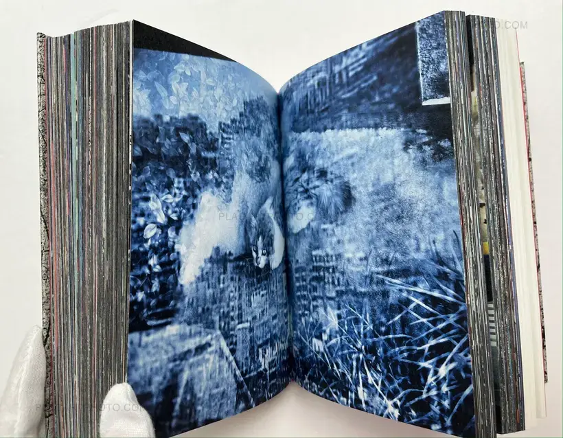 Kikuji Kawada – Vortex (SIGNED)