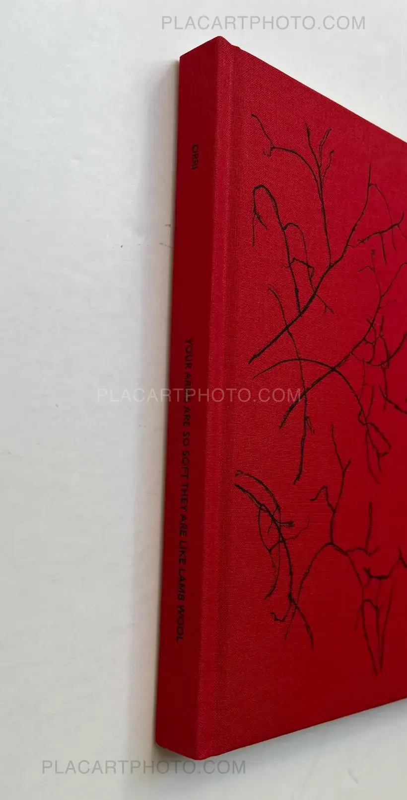 Orri Jónsson – Your arms are so soft they are like lamb wool (Signed)