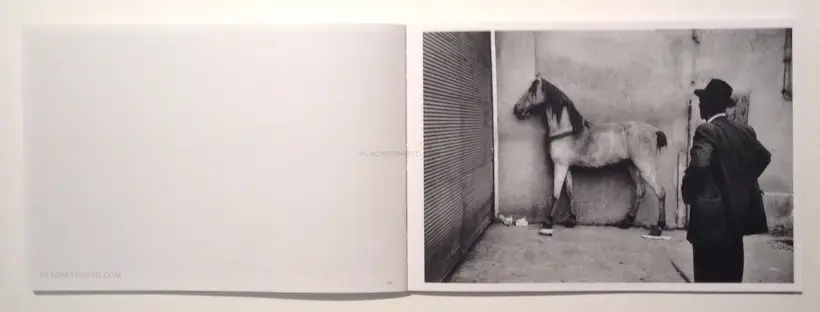 Viktor Kolàř – Human (Signed)