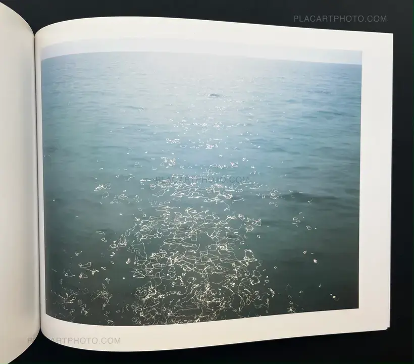 Joel Meyerowitz – The Elements: Air and Water; Part 1 / 1970-1980