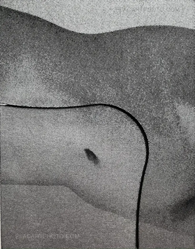 Sayuri Ichida – Absentee Special Edition (Signed and numbered, edition of 30 with original print)