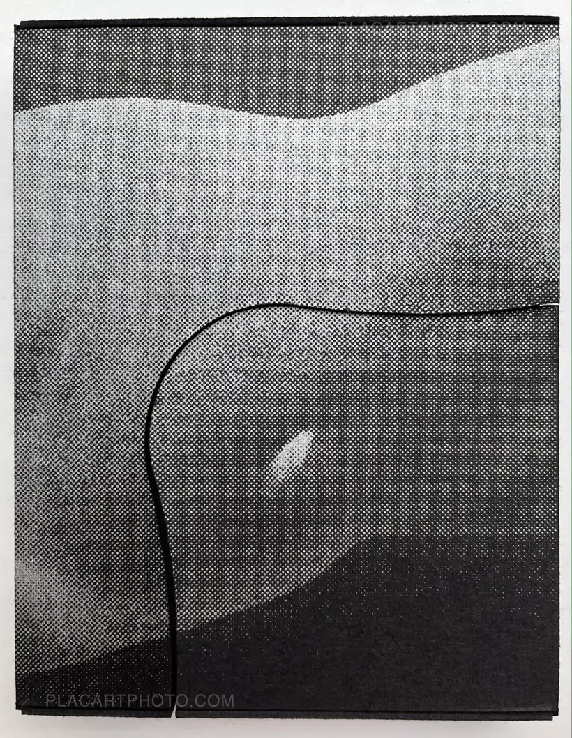 Sayuri Ichida – Absentee Special Edition (Signed and numbered, edition of 30 with original print)