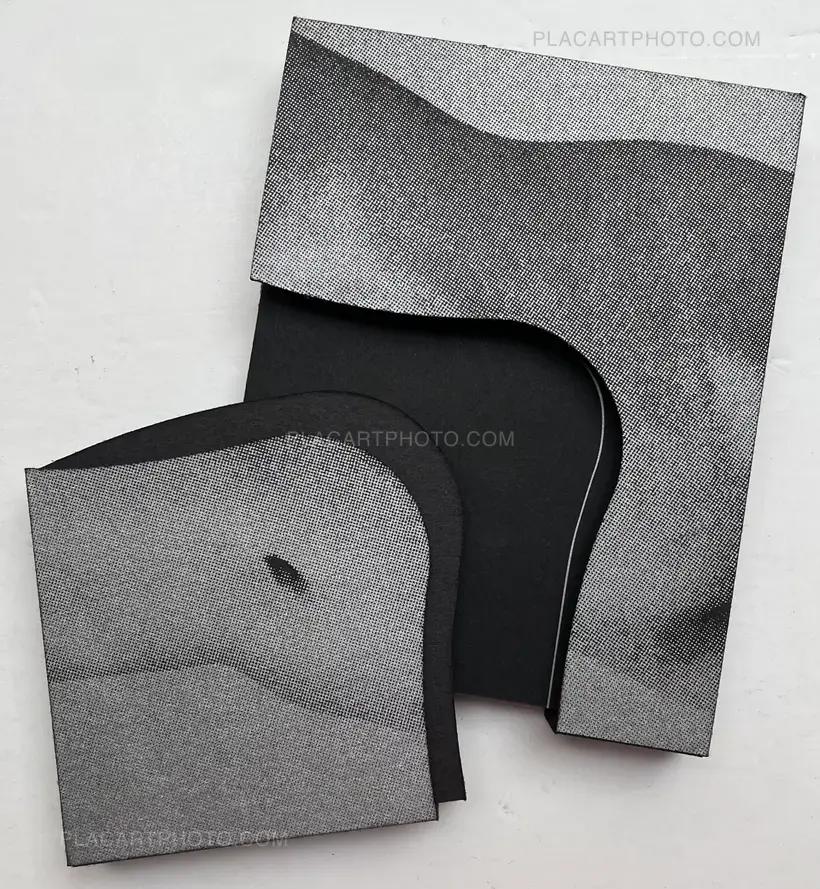 Sayuri Ichida – Absentee Special Edition (Signed and numbered, edition of 30 with original print)