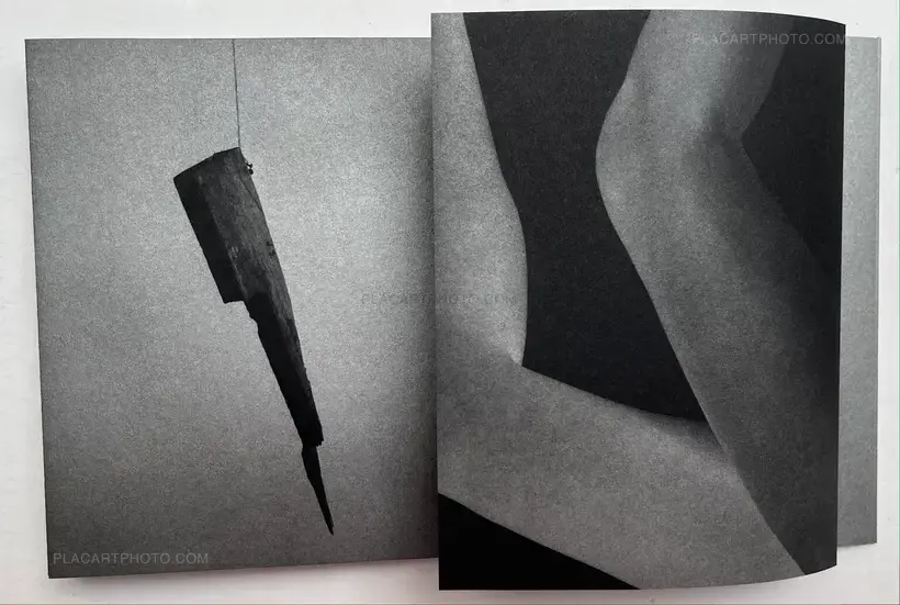 Sayuri Ichida – Absentee Special Edition (Signed and numbered, edition of 30 with original print)