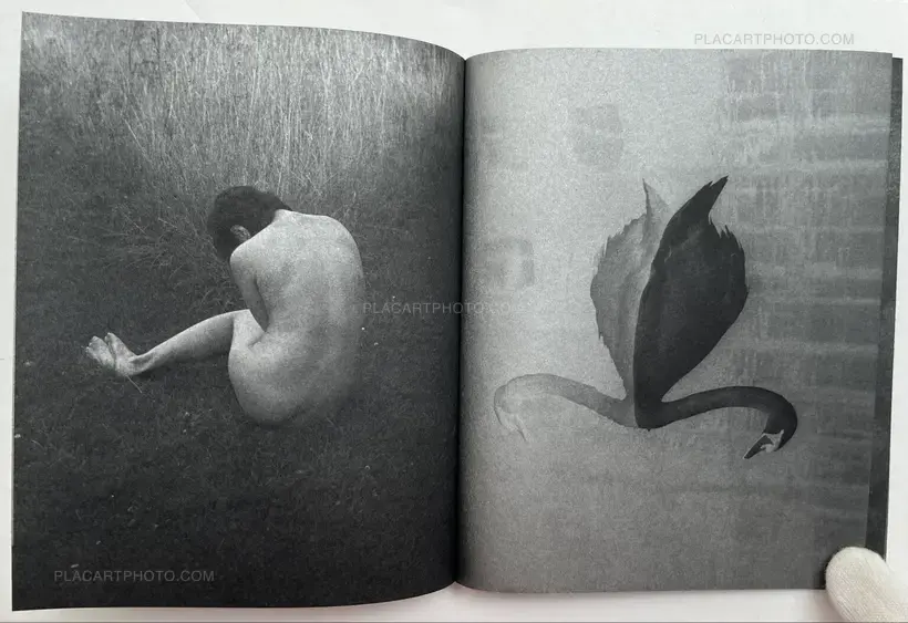 Sayuri Ichida – Absentee Special Edition (Signed and numbered, edition of 30 with original print)