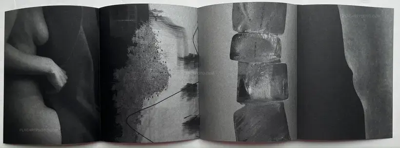 Sayuri Ichida – Absentee Special Edition (Signed and numbered, edition of 30 with original print)