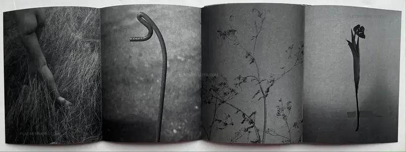 Sayuri Ichida – Absentee Special Edition (Signed and numbered, edition of 30 with original print)
