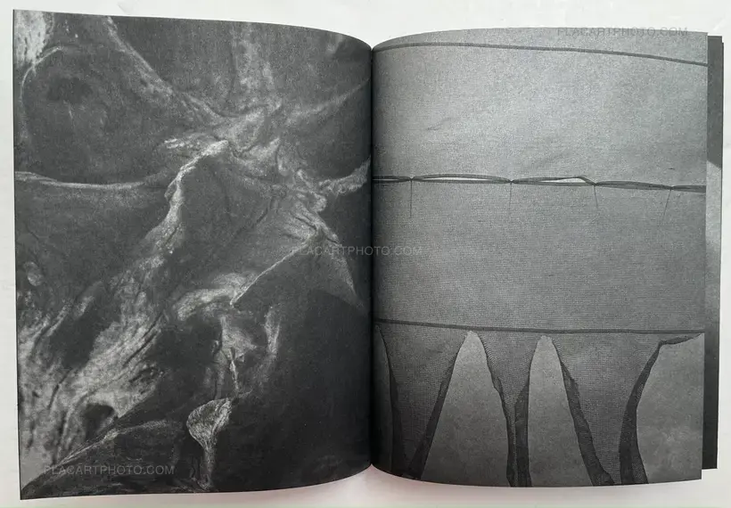 Sayuri Ichida – Absentee Special Edition (Signed and numbered, edition of 30 with original print)