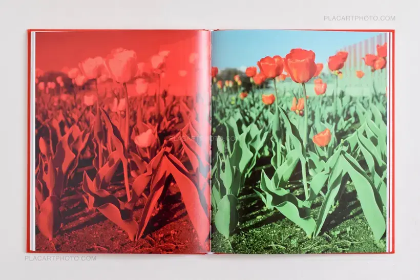 Andrew Miksys – Tulips (SEALED COPY)