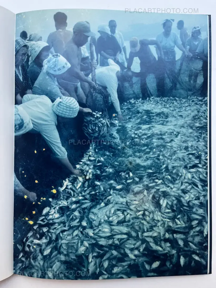 Takashi Hamaguchi – The Jewel Coast