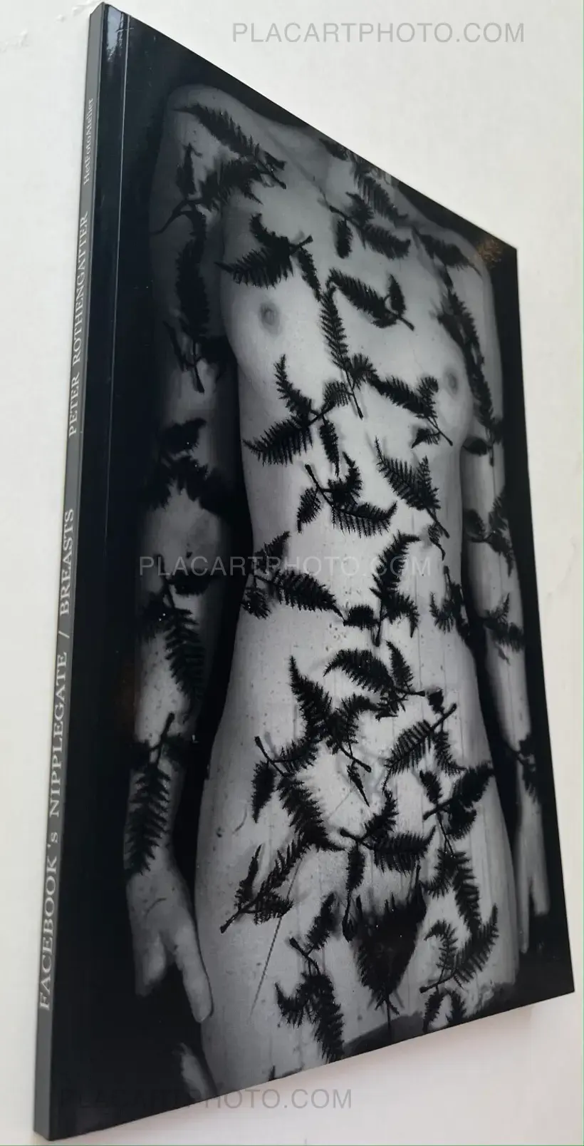 Peter Rothengatter – Facebook's Nipplegate/Breasts (Signed and numbered, edt of 50)