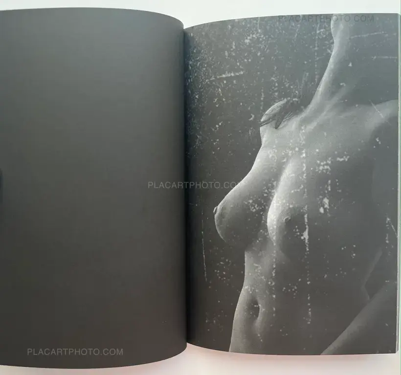 Peter Rothengatter – Facebook's Nipplegate/Breasts (Signed and numbered, edt of 50)